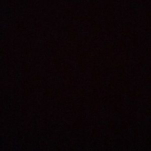 Meet your Posher, Ella